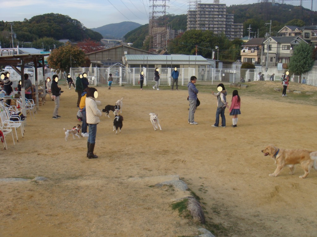 フリータイム大型犬