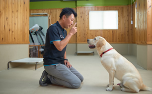愛犬との信頼関係をさらに高めるトレーニング