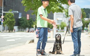 ドッグトレーニングの様子（3）