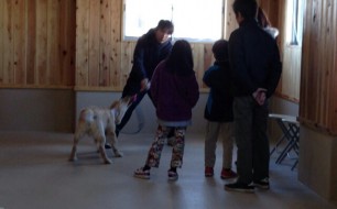 大型犬との遊び（1）